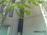 板谷 健太郎弁護士