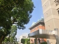 山崎 佳寿幸弁護士