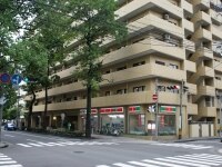 吉田 大輔弁護士