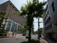嵩原 安三郎弁護士