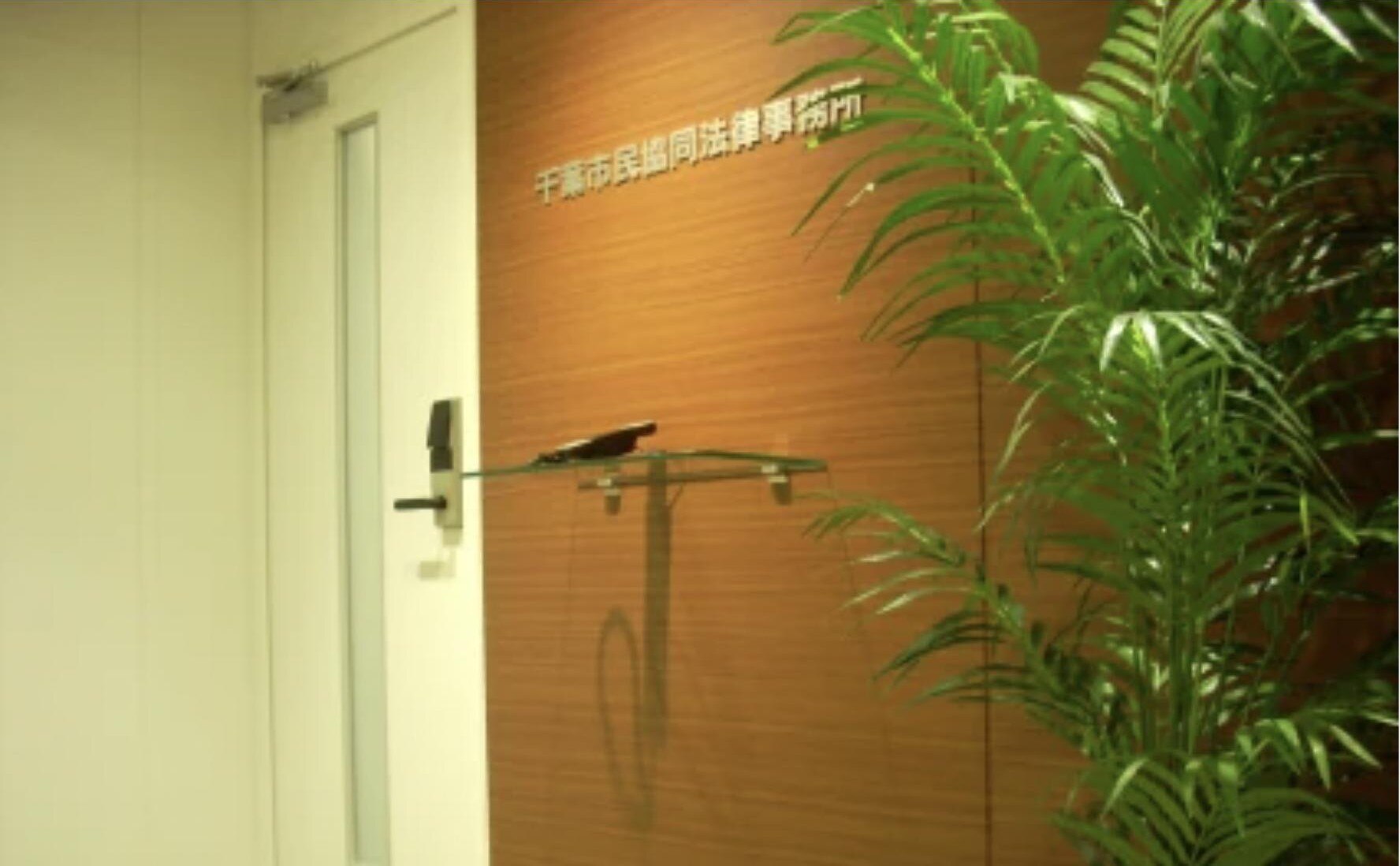 千葉市民協同法律事務所