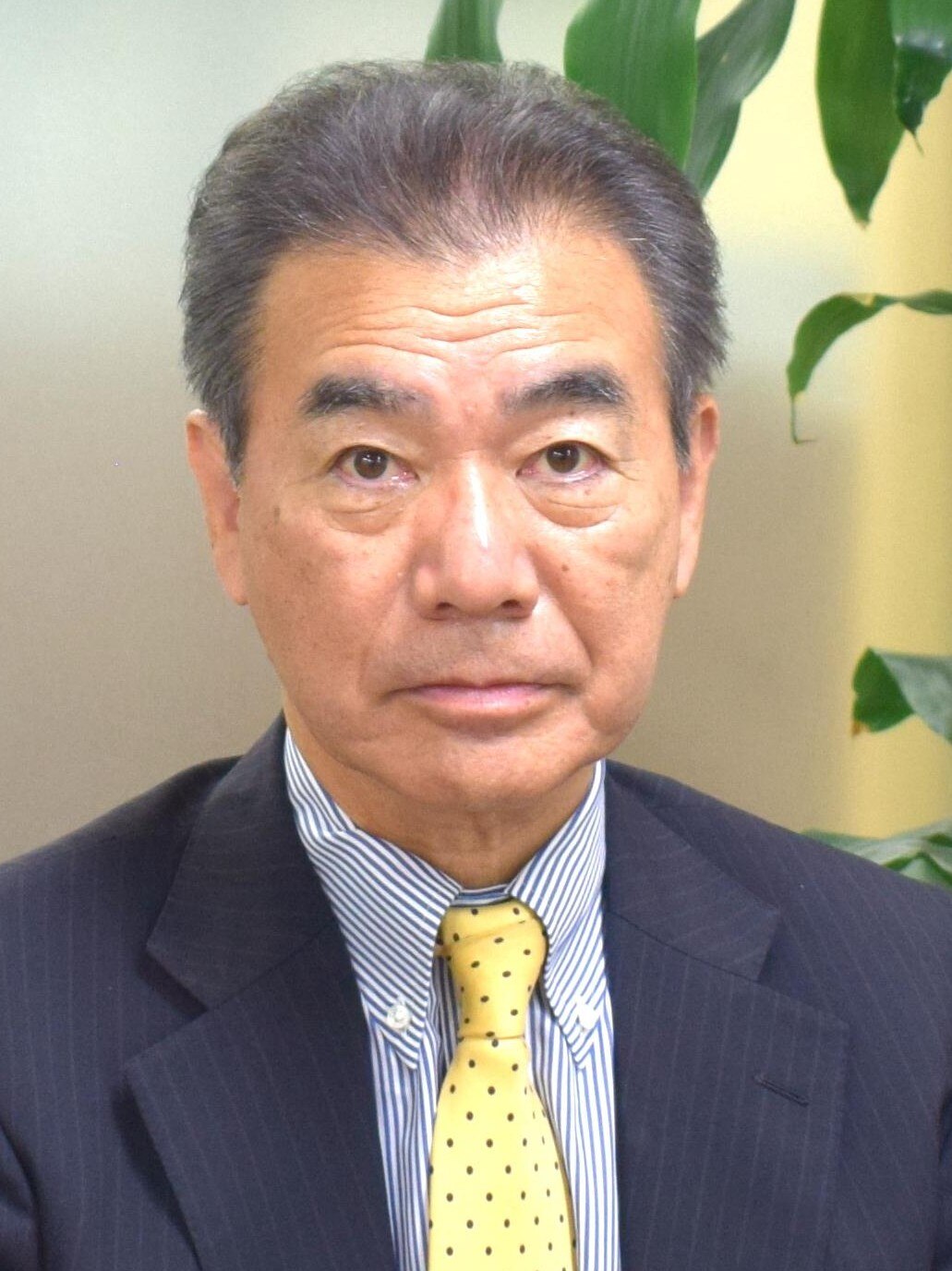 箕輪 正美弁護士