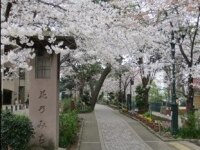 木野 達夫弁護士