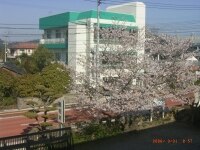 野間 俊美弁護士