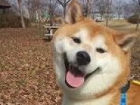 大久保 さやか弁護士
