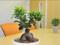 木全 圭樹弁護士