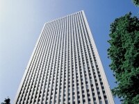 篠田 恵里香弁護士