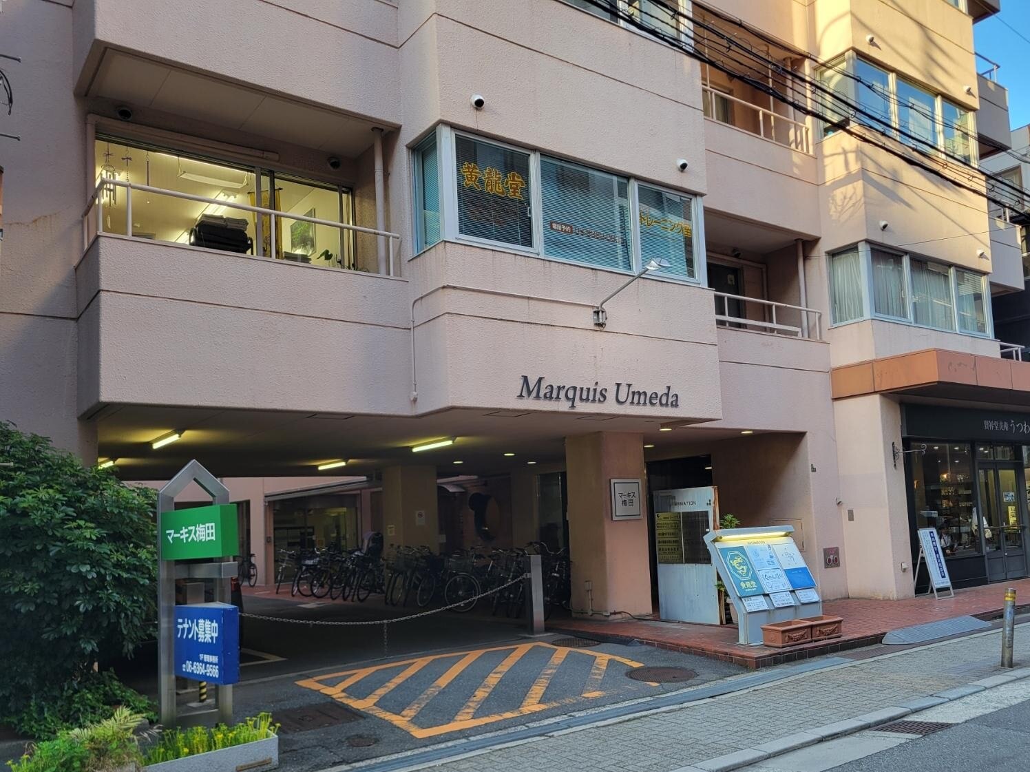 山之内 桂弁護士