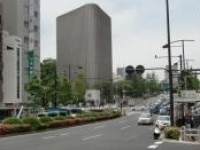 谷口 真理弁護士