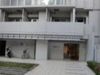 谷口 真理弁護士