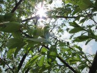 新藤 正敏弁護士