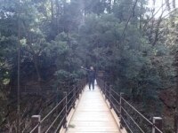 福島 正洋弁護士