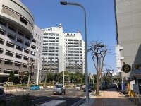 安井 琢磨弁護士