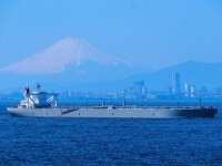 莊 美奈子弁護士