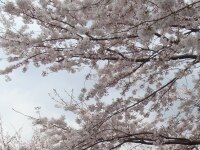 石坂 想弁護士