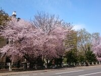 瀧澤 隆之介弁護士