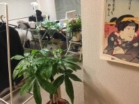 吉村 功志弁護士