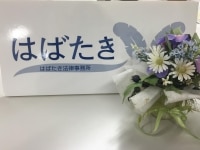 田中 一人弁護士