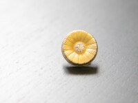 竹中 翔弁護士