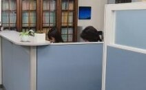 石田和雄法律事務所