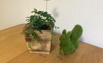 ゆきあかり法律事務所