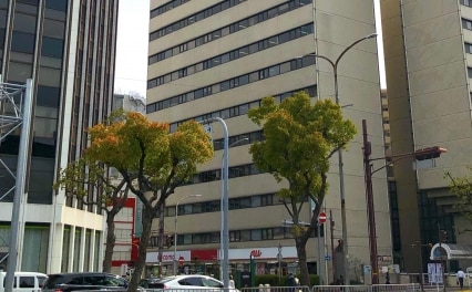 法律事務所絆
