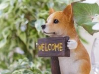 中間 隼人弁護士