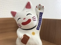 寺田 昇市弁護士