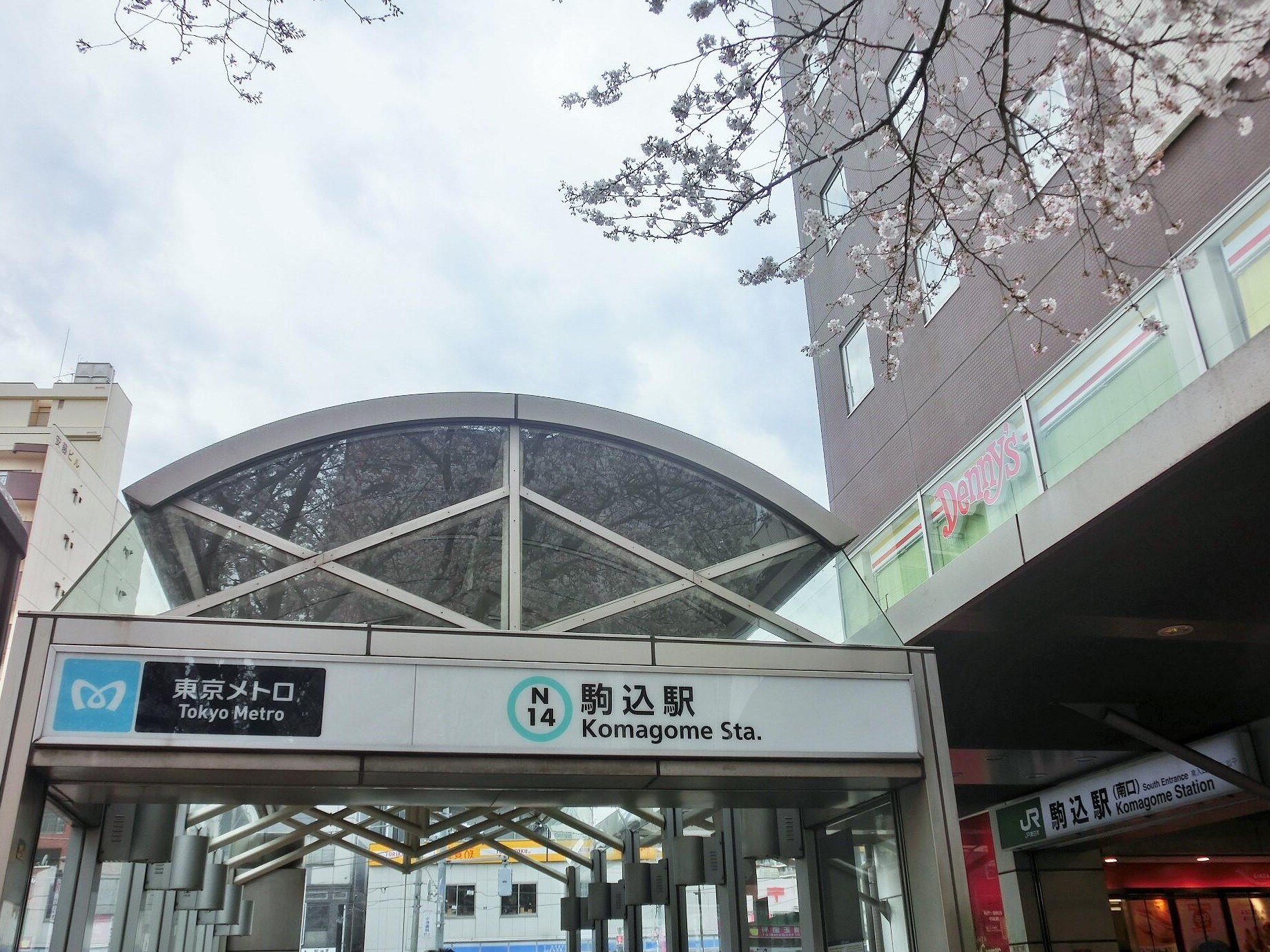 吉本 雄一弁護士