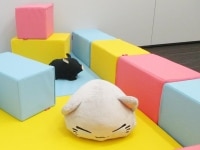 今西 眞弁護士