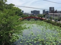 中嶽 修平弁護士