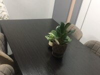 田村 瞳弁護士