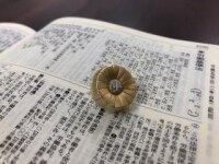 西村 潤帰弁護士
