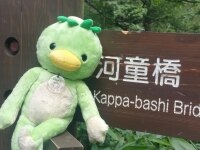 佐藤 美由紀弁護士