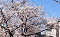 東京合同法律事務所