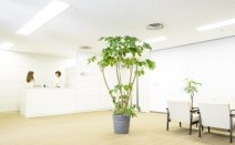 弁護士法人 法律事務所瀬合パートナーズ