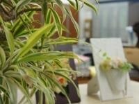 大川 雄矢弁護士