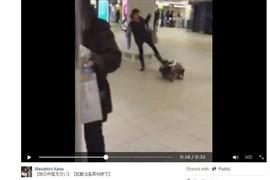 幼児を女性が「蹴り倒す」動画――渋谷駅で撮影された「児童虐待」衝撃の現場