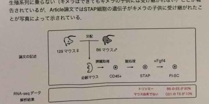 「STAP論文の説明は成立しない」理研・遠藤氏がデータ解析で指摘(要点資料全文)