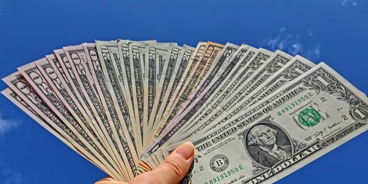 「ワンピース」のドル紙幣をネットで売って逮捕――なぜ「著作権法違反」なのか?