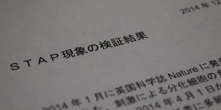 理化学研究所「STAP現象の検証結果」の資料公表(全文)