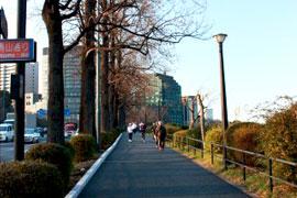皇居ランナーとのトラブル、法的にはどのように対応できるか
