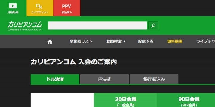 無修正「カリビアンコム」運営、米国籍男性の逮捕…なぜ困難な摘発が実現できた?