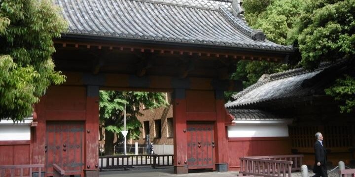 【東大卒女子・上】「勉強得意なだけ」「ブス」周囲から偏見の目、結婚相手も東大卒