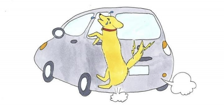 痛いワン!「飼い犬」散歩中、車にシッポをひかれてしまった…治療代を請求できる?
