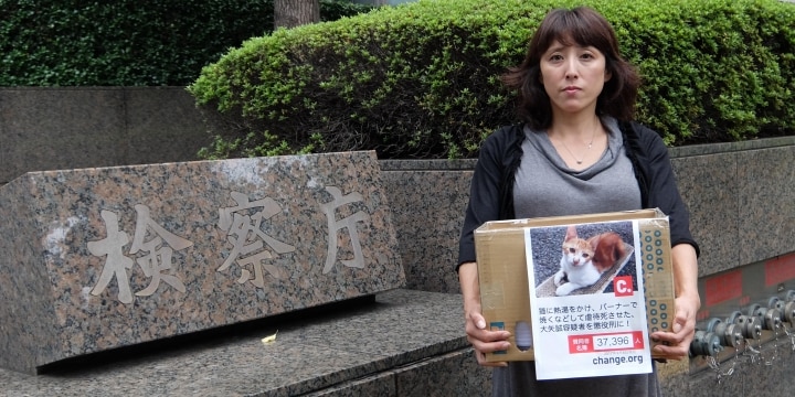 バーナーで猫を殺した税理士に「実刑」求める女性、東京地検に「3万7千筆」署名提出