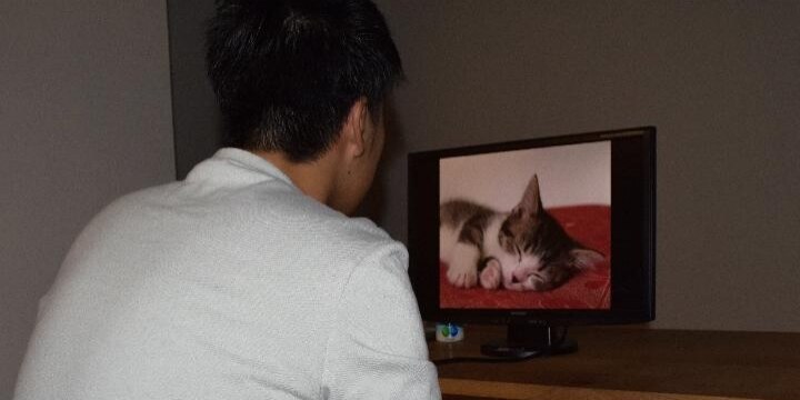夫が自宅のテレビでAV鑑賞、妻が頼んでもやめてくれない…法的な離婚原因になる?