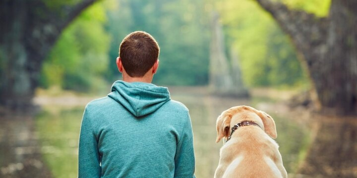 殺処分のない「ペット天国」ドイツ、「犬税」にみる犬と社会のよりよい関係