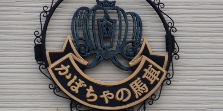燃え尽きた「かぼちゃの馬車」、保証賃料は絶望的に…運営会社が再生法申請、負債60億円