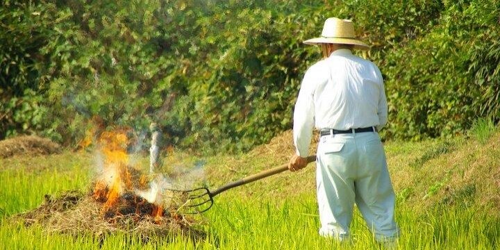 「早朝に咳き込んで起きる」生活ゴミの「野焼き」に近隣住民から怒りの声、現状は泣き寝入り